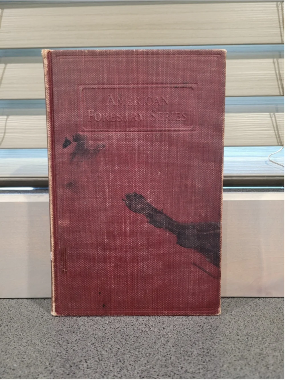 1934 Identification of the Commercial Timbers US American Forestry Guc